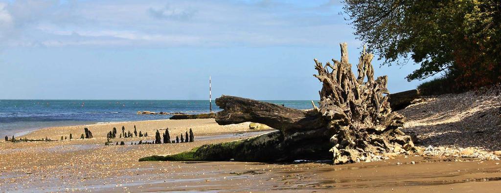 The Crab And Lobster Inn Bembridge Exterior foto