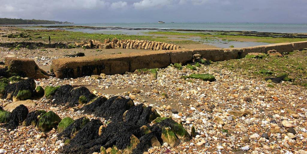 The Crab And Lobster Inn Bembridge Exterior foto
